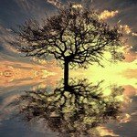 Healing Melodies, Soothing Music, And Relaxing Nature Sounds