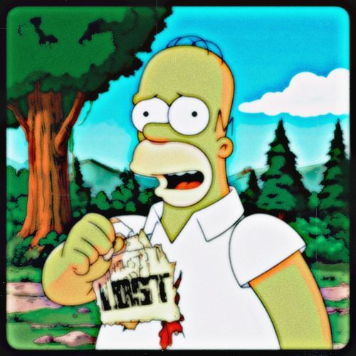 Homer Simpson got lost