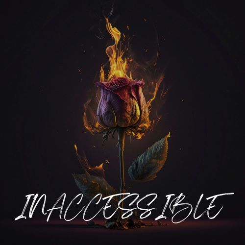 INACCESSIBLE cover art