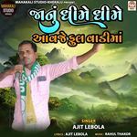 Jaanu Dheeme Dheeme Aavje Ful Vadi Ma