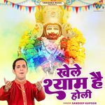 Khele Shyam Hain Holi