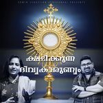 ക്ഷമിക്കുന്ന ദിവ്യകാരുണ്യം (മിഥില മൈക്കിൾ)