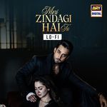 Meri Zindagi Hai Tu (Lo-Fi)