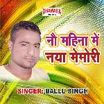 Nau Mahina Me Naya Memory