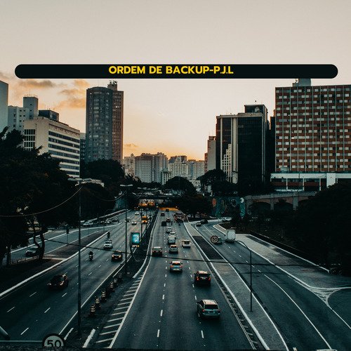P.J.L cover art