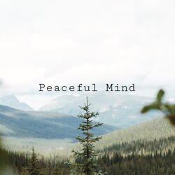 Peaceful Mind-HBwHXxVme2E