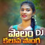 Polam Kaluva Ponga DJ