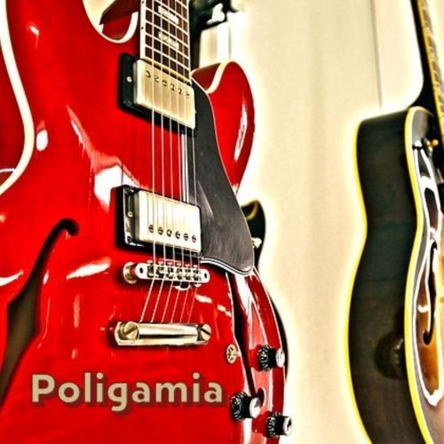 Poligamia cover art