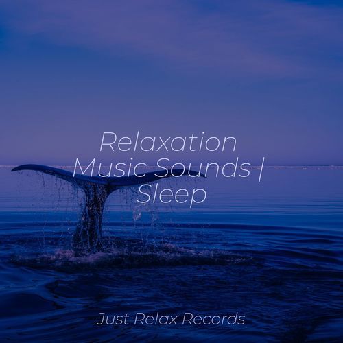 Relaxation Music Sounds | Sleep