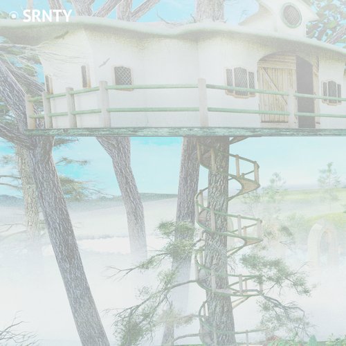SRNTY (Meditation) cover art