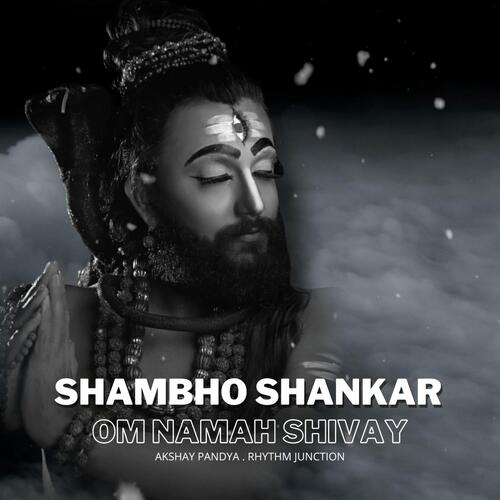 Shambho Shankar (Om Namah Shivay)_poster_image