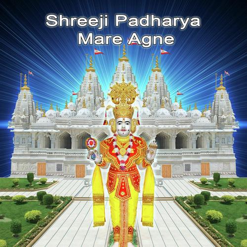 Shreeji Padharya Mare Agne