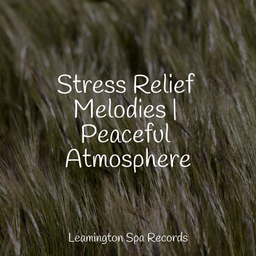 Calm cover art