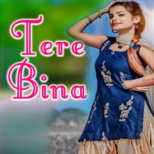 TERE BINA