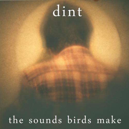 The Sounds Birds Make