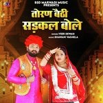 Toran Bethi Sadkal Bole