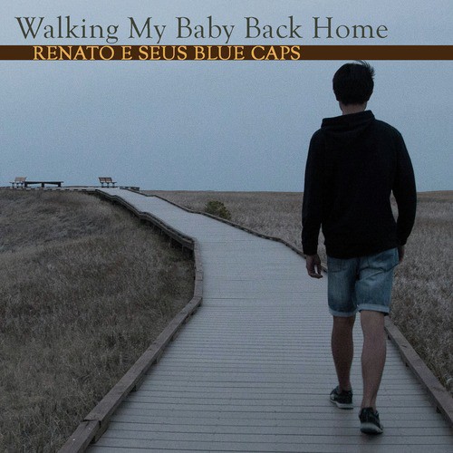 Walking My Baby Back Home_poster_image