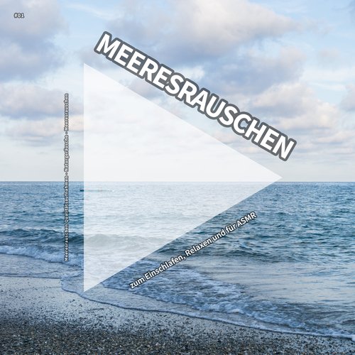 Wellness cover art