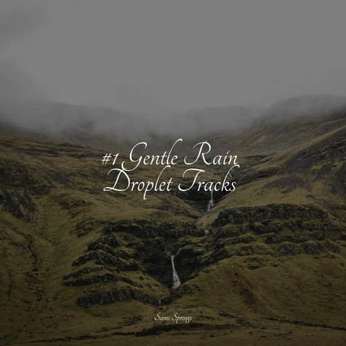 #1 Gentle Rain Droplet Tracks