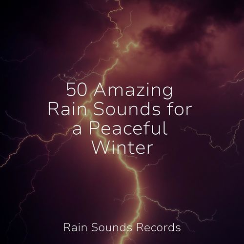 50 Amazing Rain Sounds for a Peaceful Winter