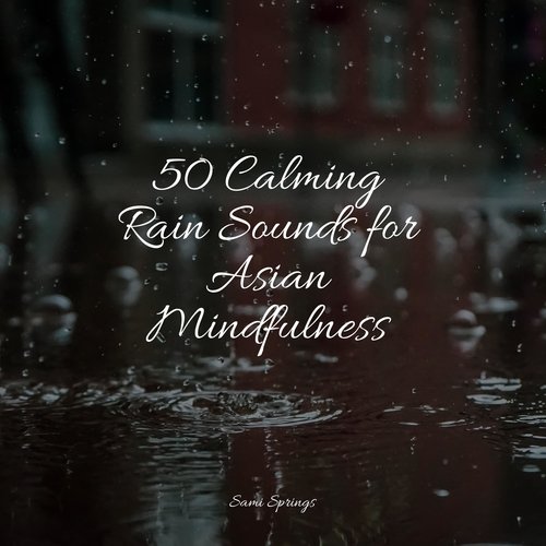 50 Loopable Rain Sounds for Meditation and Meditation_poster_image