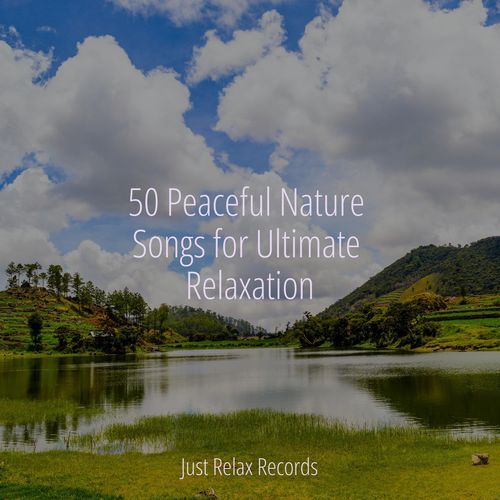 50 Peaceful Nature Songs for Ultimate Relaxation_poster_image