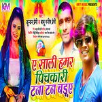 A Sali hamar Pichkari Tana Tan Badue