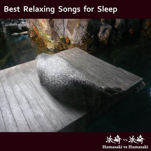 Sleeping Seal (Piano Version)