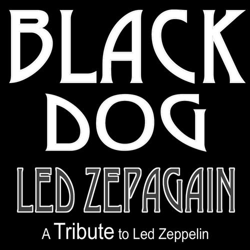 Black Dog - a Tribute to Led Zeppelin