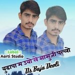 Budapa M Ubho Le Sasuji Paloo (Hindi)