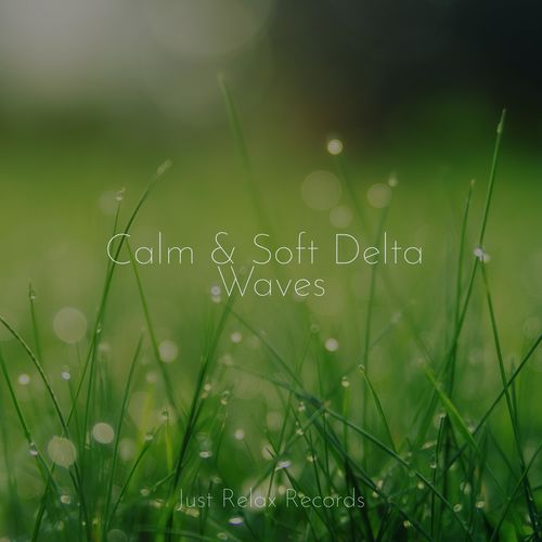 Calm & Soft Delta Waves