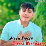Duniya Wali Bangi