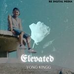 Elevated artwork
