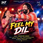 Feel My Dil artwork