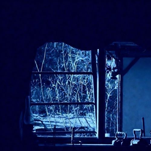 The Ghost of Herbert von Karajan cover art