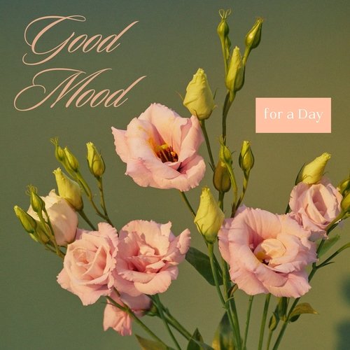 Soundscapes Relaxation cover art
