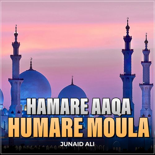 Hamare Aaqa Humare Moula