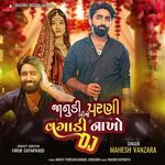 Janu Parni Bije Vagadi Nakho Dj
