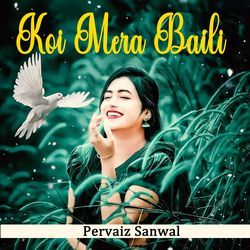 Koi Mera Baili-CDooczpeTwE