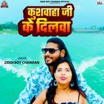 Kushwaha Ji Ke Dilwa