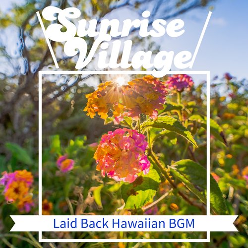 Coconut Valley in Hawaii cover art