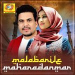 Malabarinte artwork