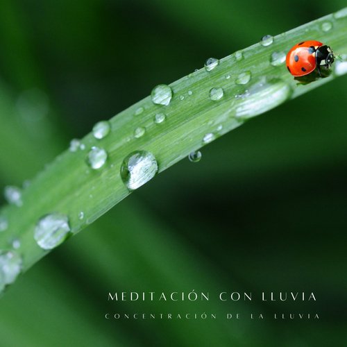 Lluvia y Truenos cover art