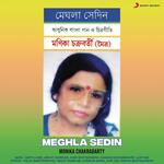 Meghla Sedin