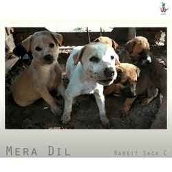 Mera Dil-RyIKSEBhUlE