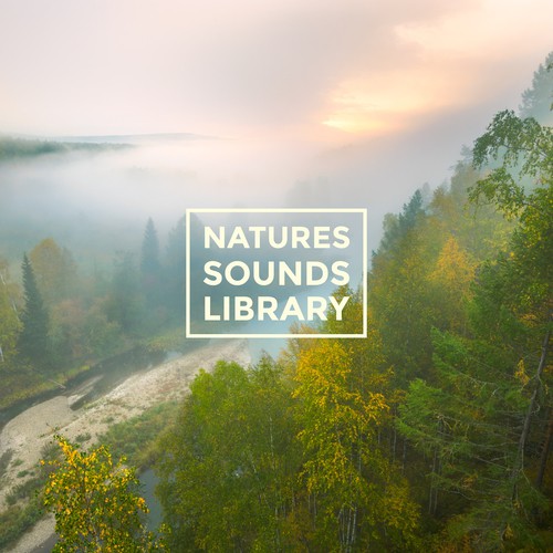 Natures Sounds Library