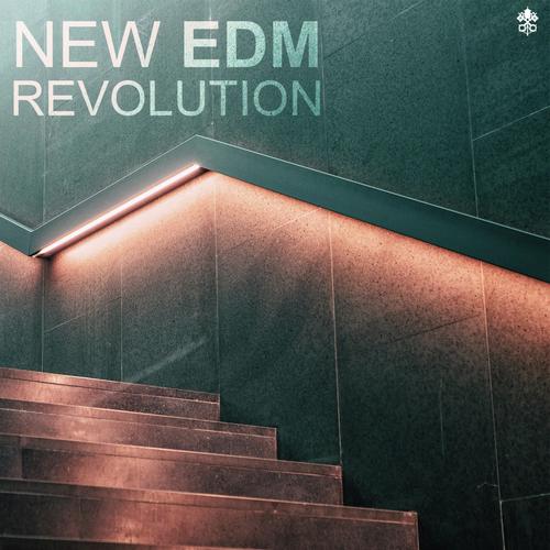 New EDM Revolution