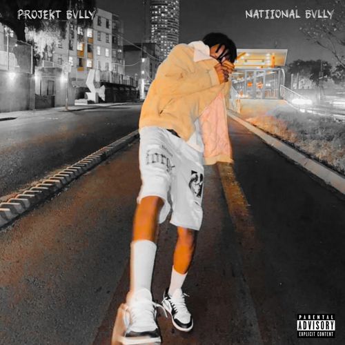 Projekt cover art