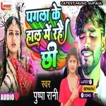 Pagli ke hal me rahe che