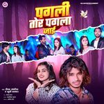 Pagli Tor Pagla Jaai